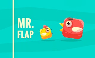 Image Mr Flap